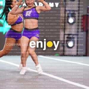 Lrs0310