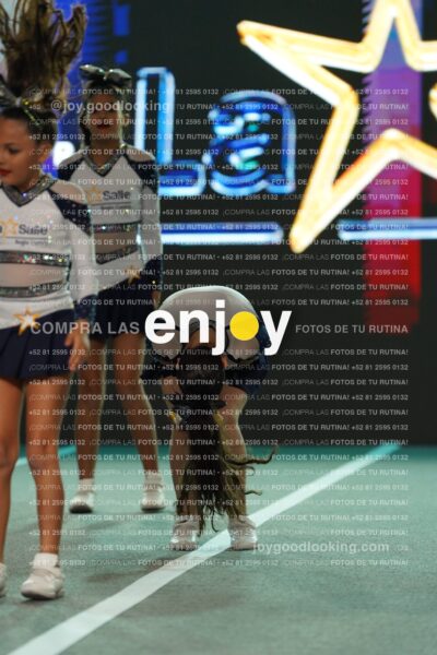 Lsa0343