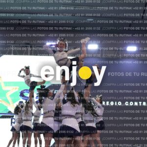 Lsb0431