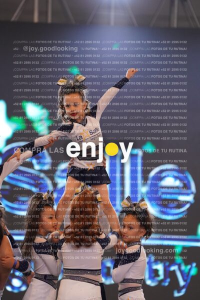 Lsm0194