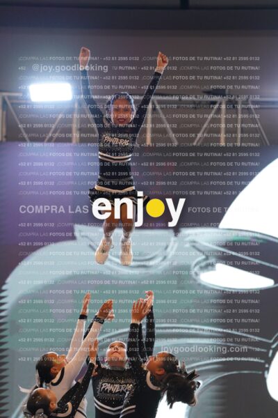 Mfl0125