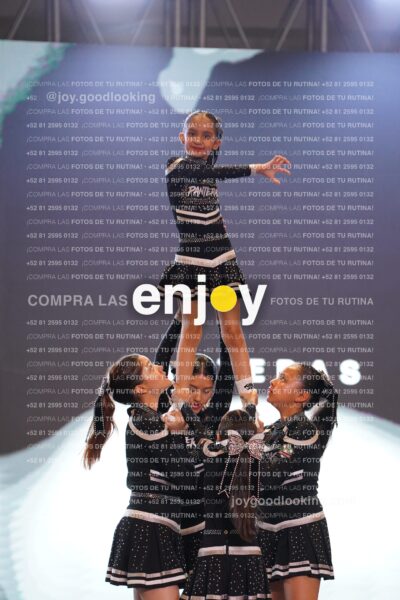 Mfl0201