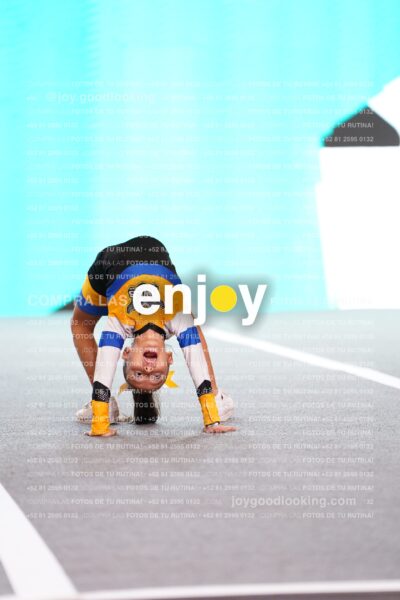Mst0306