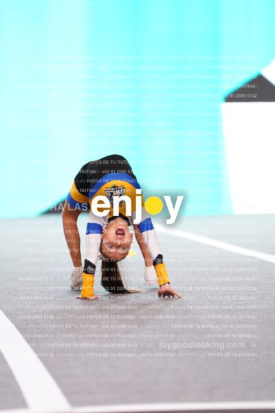 Mst0307
