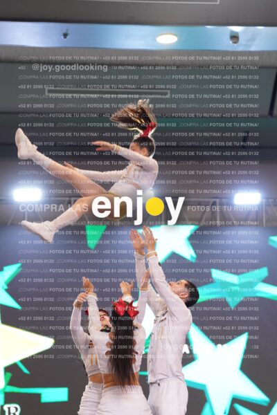 Nav0271