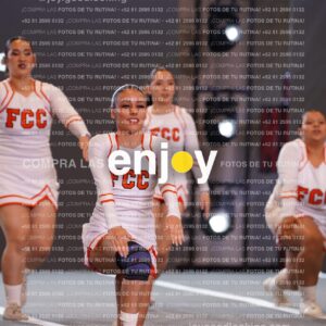 Pfu0294