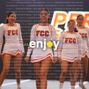 Pfu0333