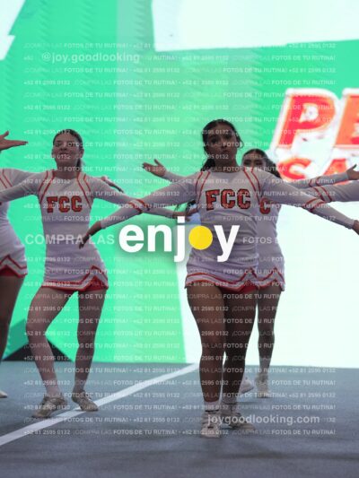 Pfu0363