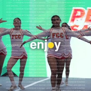 Pfu0363