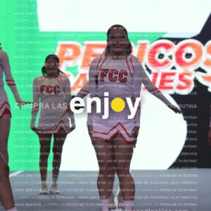 Pfu0407