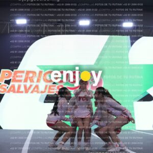 Pfu0411