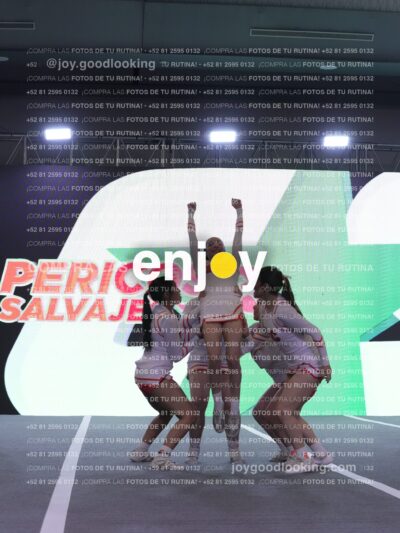 Pfu0412