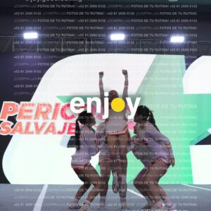 Pfu0412