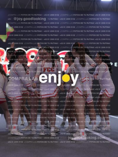 Pfu0428