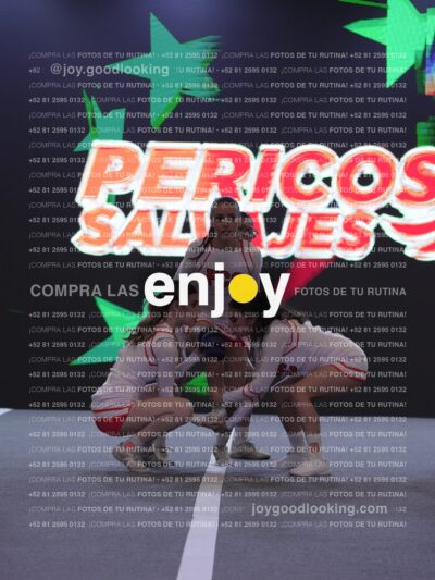 Pfu0442