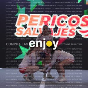 Pfu0442