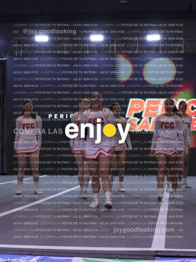 Pfu0452