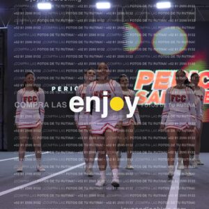 Pfu0452