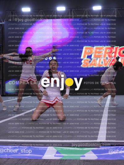 Pfu0462