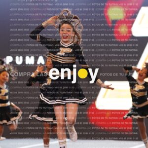 Pms0235