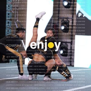 Pnd0266