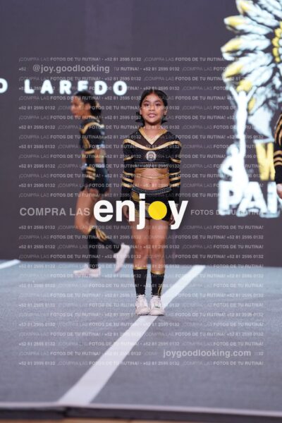 Pnd0322