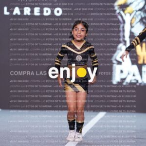 Pnd0336