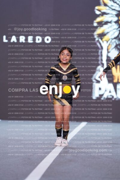 Pnd0336