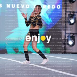 Pnd0341