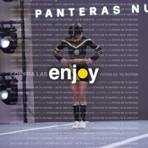 Pnd0367