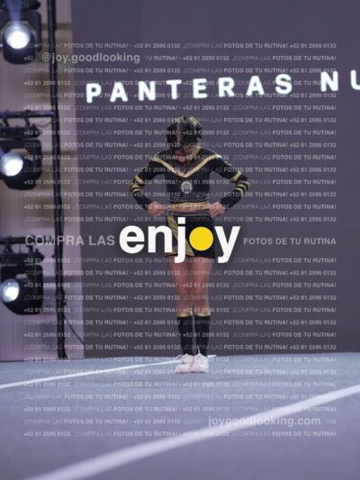 Pnd0367