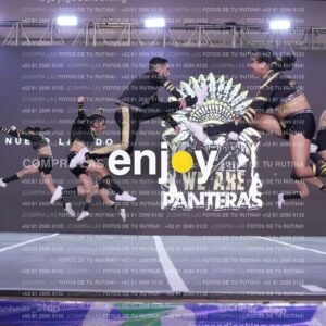 Pnd0398