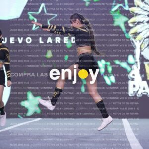 Pnd0403