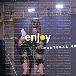 Pnd0435