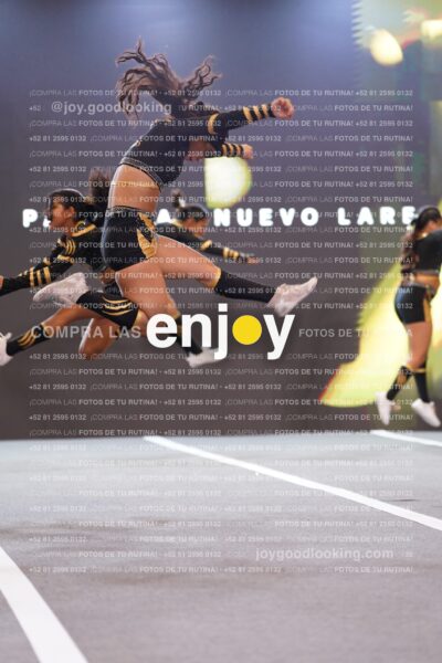 Pnl0249