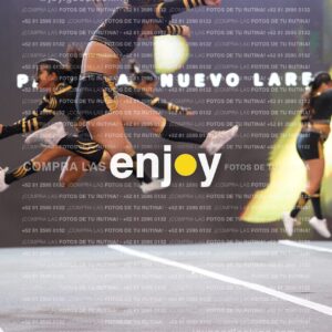 Pnl0249