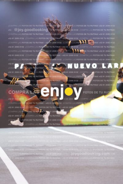 Pnl0250