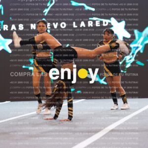 Pnl0254