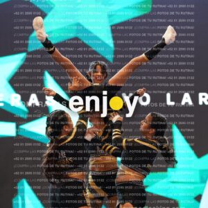 Pnl0264
