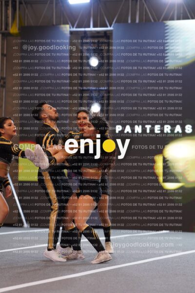 Pnl0278
