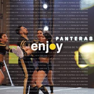 Pnl0278