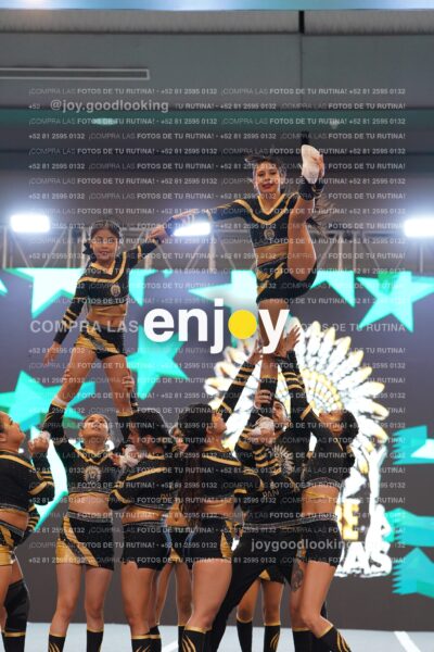Pnl0291