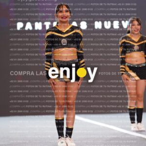 Pnl0309