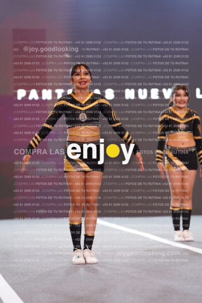 Pnl0310