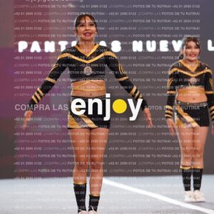 Pnl0310