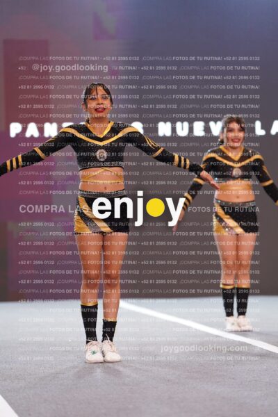 Pnl0311