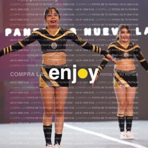 Pnl0311