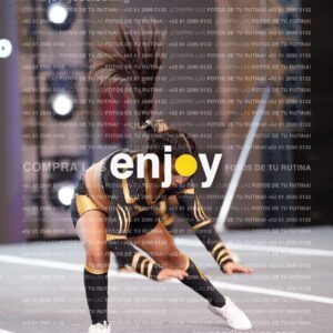 Pnl0315