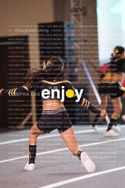 Pnl0319