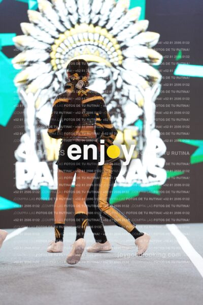 Pnl0322
